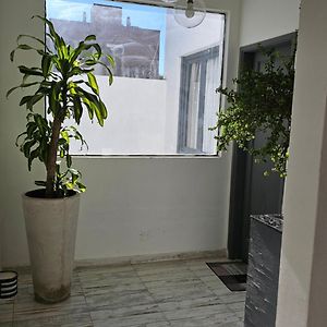 Ragi Dpto 4
